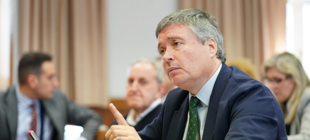 El senador del GPP, Luis Santamaría