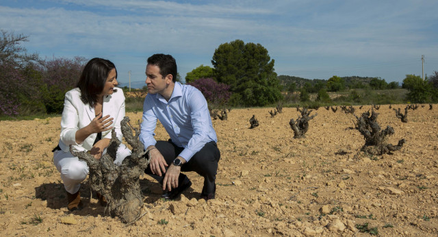 Teodoro García Egea visita un viñedo en Bullas