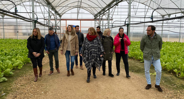 Visita a huertas e invernaderos en Villa del Prado