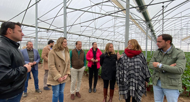 Visita a huertas e invernaderos en Villa del Prado