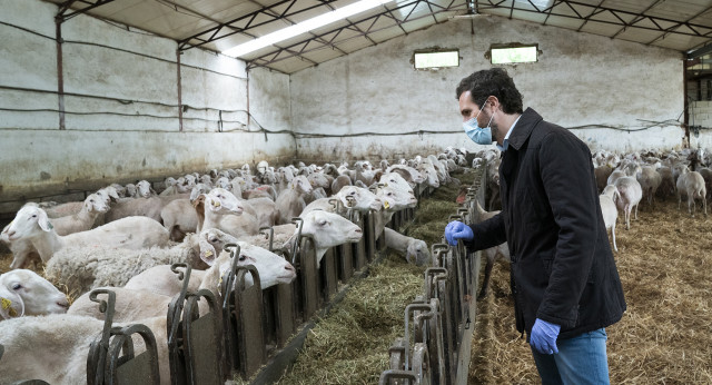 Pablo Casado visita una explotación ganadera