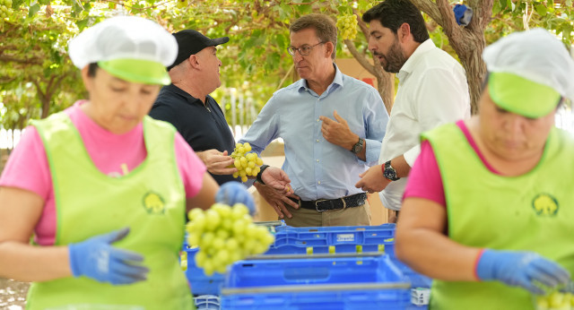 Alberto Núñez Feijóo visita los viñedos y la fabrica de uvas El Ciruelo.