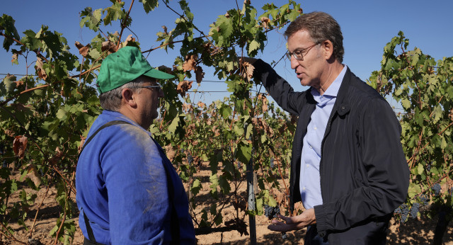  Alberto Núñez Feijóo y Alfonso Fernández Mañueco visitan un viñedo en la Ribera del Duero