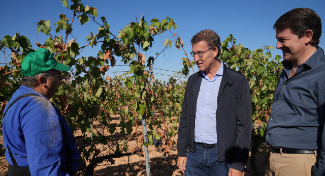  Alberto Núñez Feijóo y Alfonso Fernández Mañueco visitan un viñedo en la Ribera del Duero