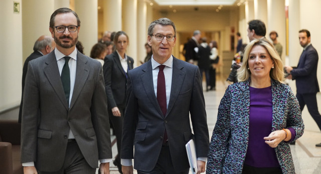 Alberto Núñez Feijóo en el Senado 