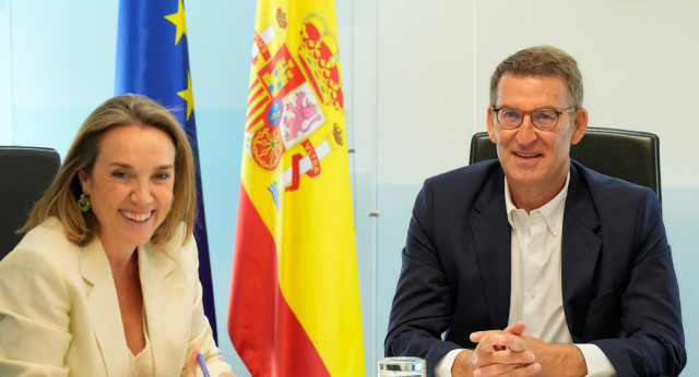 Comité de Dirección