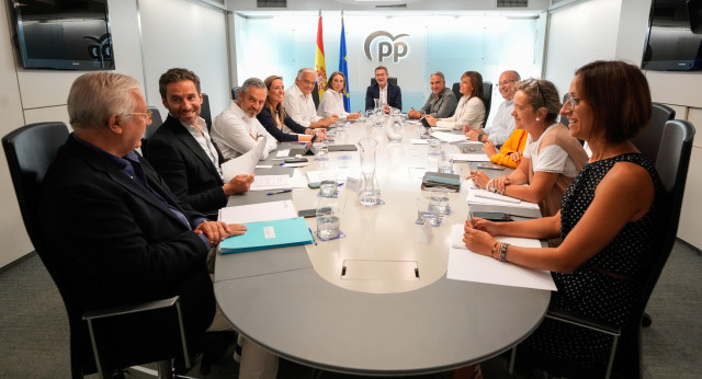 Comité de Dirección del PP.