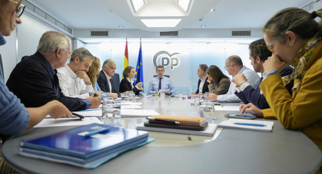 Comité de Dirección