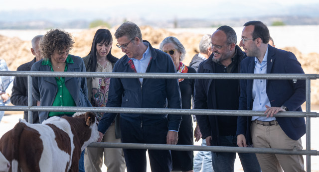 Alberto Núñez Feijóo en su visita a una explotación ganadera en Lleida