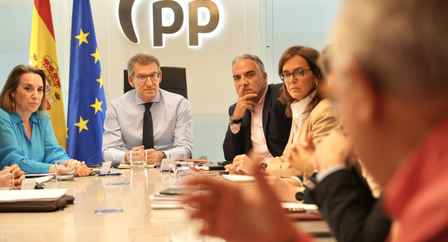 Feijóo en el Comité de dirección del PP