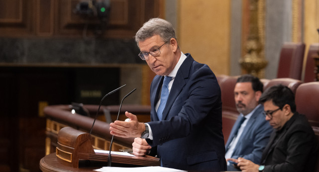 Alberto Núñez Feijóo interviene en el Congreso de los Diputados 
