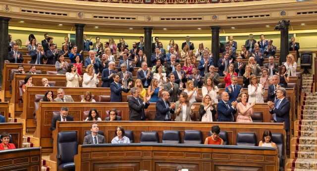 Alberto Núñez Feijóo interviene en el Congreso de los Diputados 