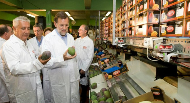 Mariano Rajoy visita la Cooperativa Agraria exportadora de frutas subtropicales TROPS