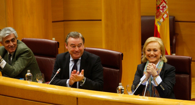 Mercedes Fernández en el Senado