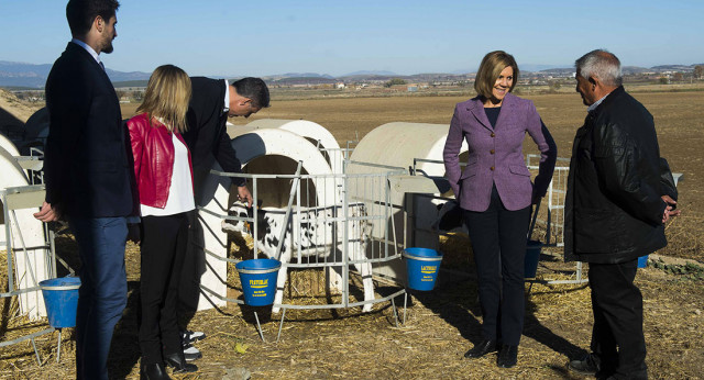 Mª Dolores Cospedal y Xavier García Albiol en la visita a una vaquería en Vallfogona de Balaguer (Lleida)