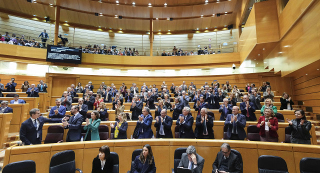 Alberto Núñez Feijóo en el Pleno del Senado