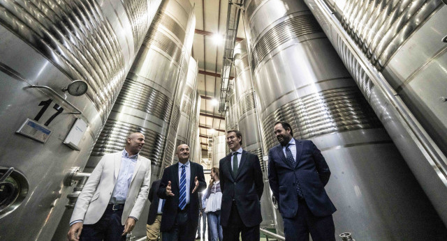 Alberto Núñez Feijóo en su visita a una cooperativa vinícola en Villarrobledo