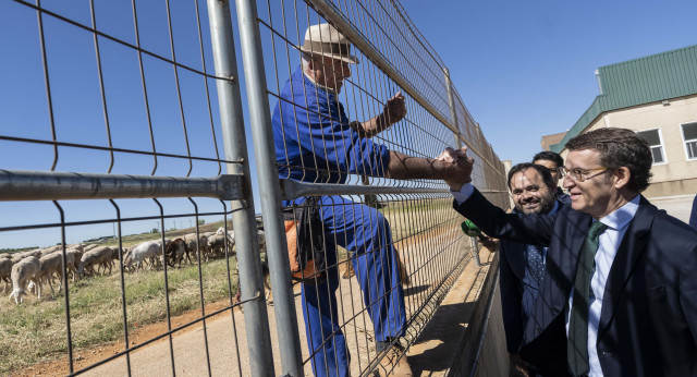 Alberto Núñez Feijóo visita cooperativa vinícola de Villarrobledo