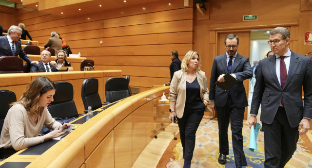 El presidente del Partido Popular, Alberto Núñez Feijóo, en el Senado