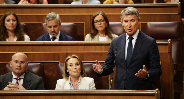 Alberto Núñez Feijóo interviene en el Congreso