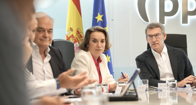 Alberto Núnez Feijóo en el comité de dirección del PP