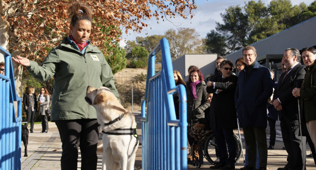 El presidente del Partido Popular, Alberto Núñez Feijóo, visita la Fundación Once del Perro Guía