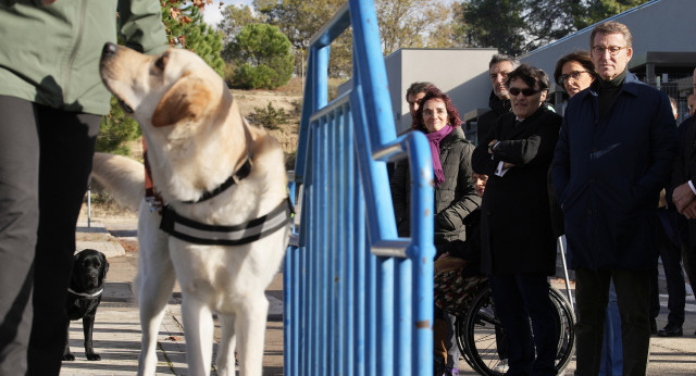 El presidente del Partido Popular, Alberto Núñez Feijóo, visita la Fundación Once del Perro Guía