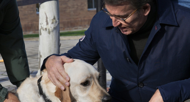 El presidente del Partido Popular, Alberto Núñez Feijóo, visita la Fundación Once del Perro Guía