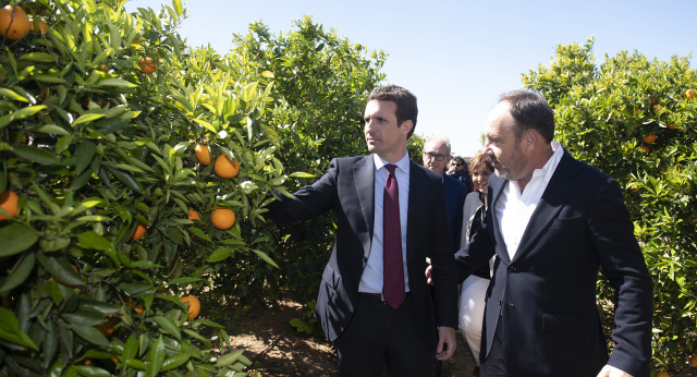 Pablo Casado en Valencia