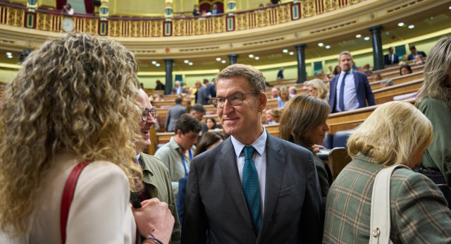 Declaraciones de Alberto Núñez Feijóo desde el Congreso de los Diputados