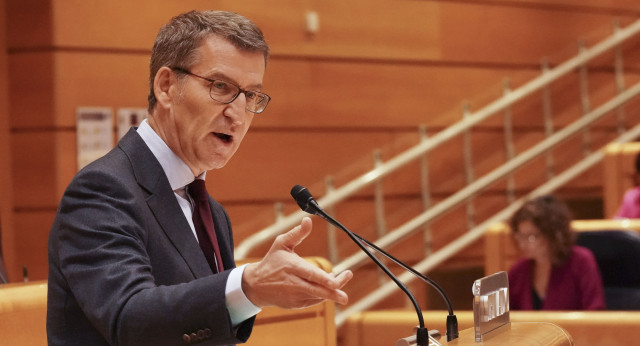 Alberto Núñez Feijóo en el Senado