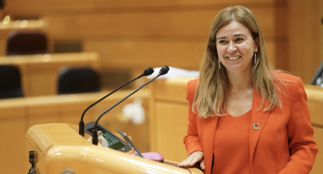 La senadora por Andalucía, Teresa Ruiz-Sillero