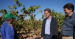  Alberto Núñez Feijóo y Alfonso Fernández Mañueco visitan un viñedo en la Ribera del Duero