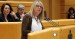 La senadora, Ángles Muñoz durante su intervención el en Senado