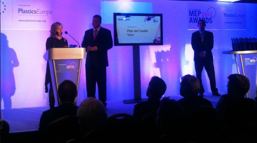 Pilar del Castillo, elegida 