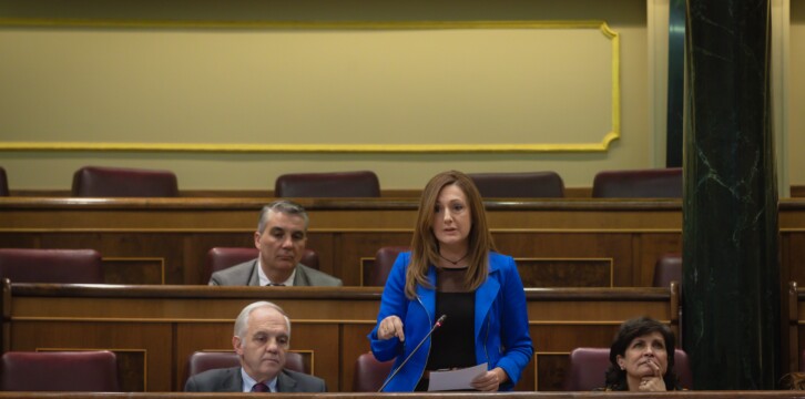 Ascensión Carreño en su turno de preguntas al Gobierno