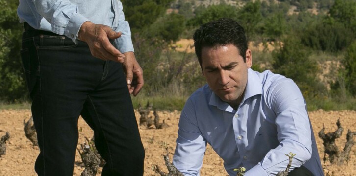 Teodoro García Egea visita un viñedo en Bullas