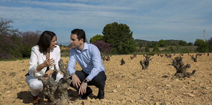 Teodoro García Egea visita un viñedo en Bullas