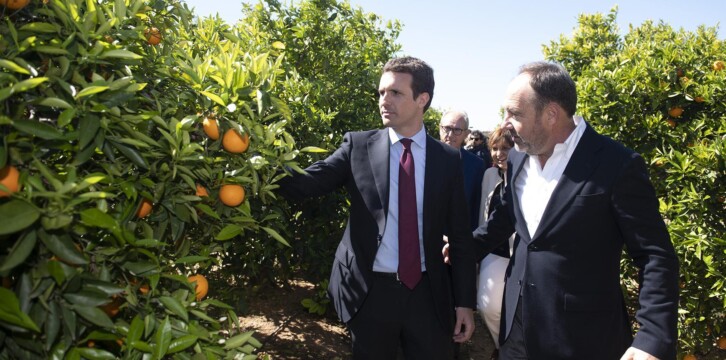 Pablo Casado en Valencia