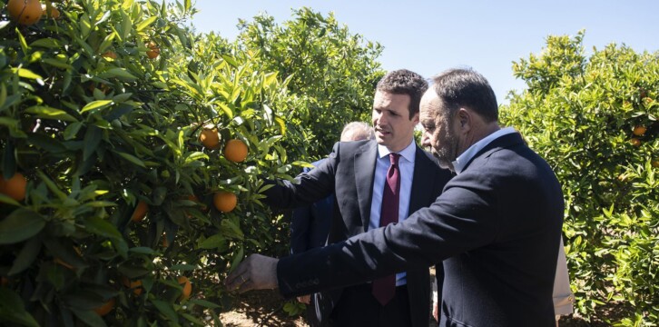 Pablo Casado en Valencia