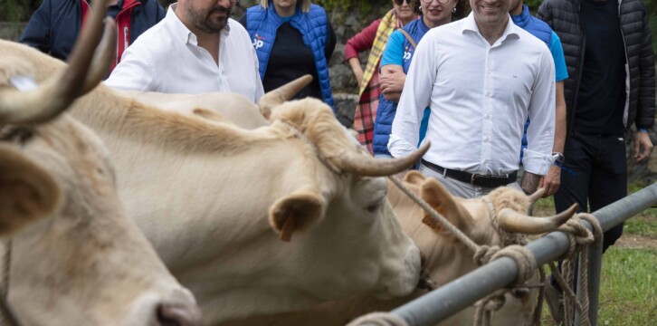 Teodoro García Egea en La Palma