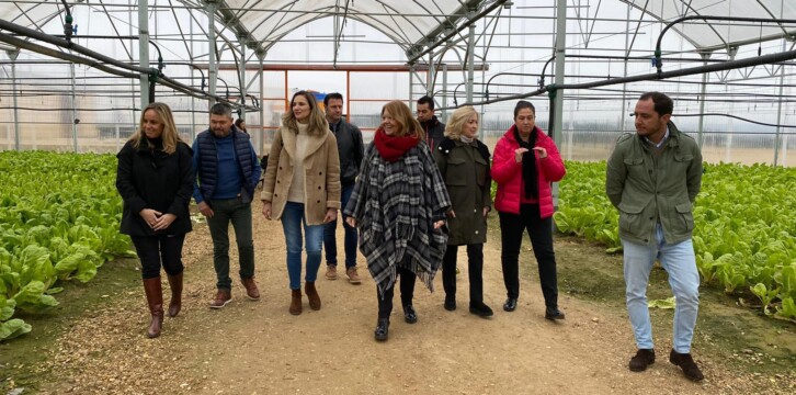 Visita a huertas e invernaderos en Villa del Prado