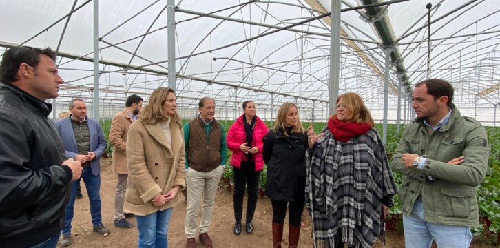 Visita a huertas e invernaderos en Villa del Prado