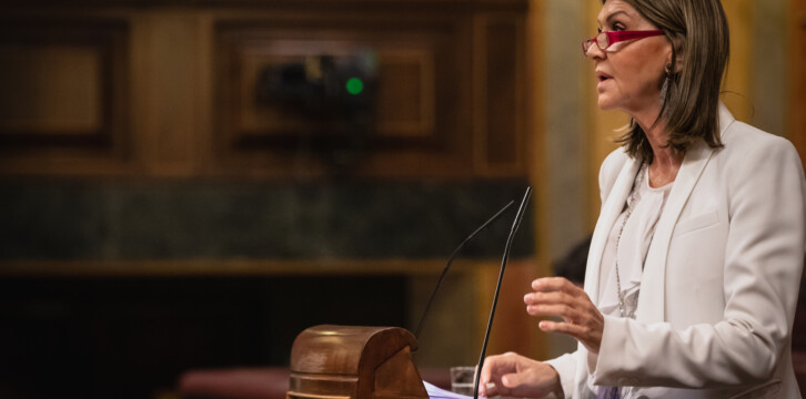 La diputada del GPP en el Congreso de los Diputados, María de los Llanos de Luna