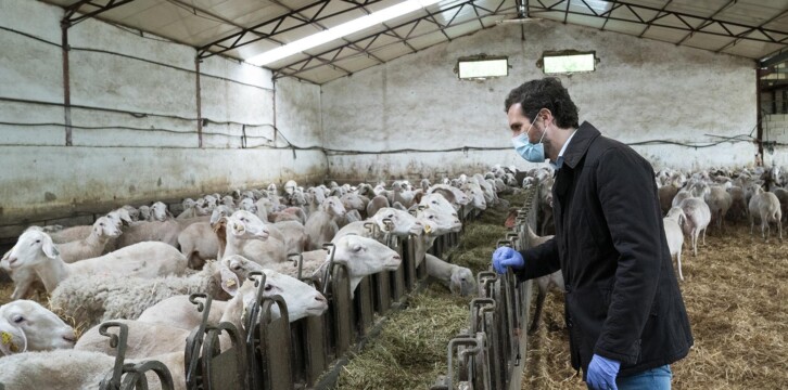 Pablo Casado visita una explotación ganadera