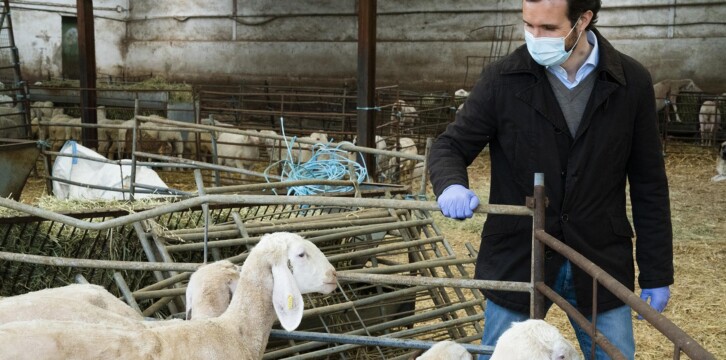 Pablo Casado visita una explotación ganadera