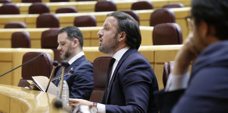 El senador del Partido Popular, Pablo Ruz
