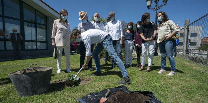 Casado desde Pontevedra