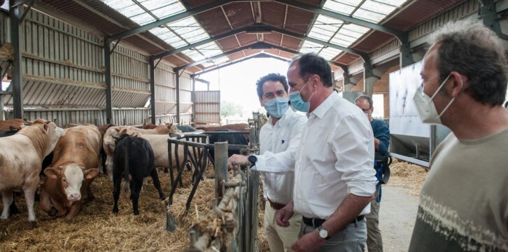 Teodoro García desde Álava