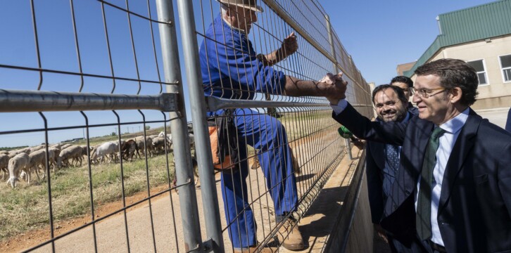 Alberto Núñez Feijóo visita cooperativa vinícola de Villarrobledo